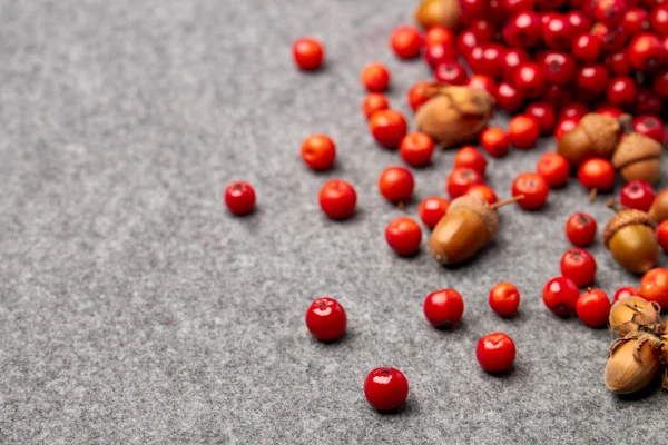 Serbal rojo y nueces sobre fondo gris de otoño — Foto de Stock