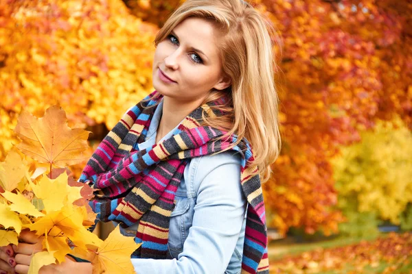 Красивая женщина в парке осенью — стоковое фото