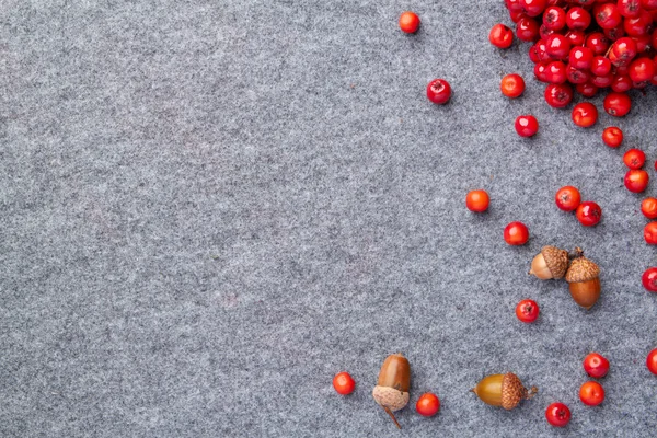 Červený jeřáb a ořechy na šedé podzimní pozadí — Stock fotografie