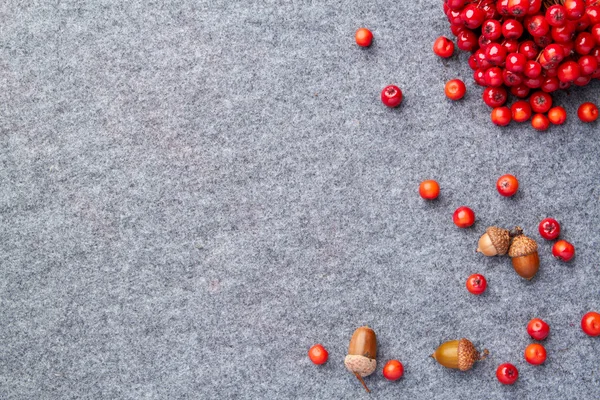 Serbal rojo y nueces sobre fondo gris de otoño —  Fotos de Stock