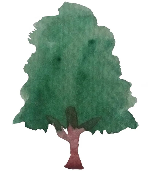 被白色隔离的水彩树 粗纹理纸上的树 植物笔画水彩画 社交媒体 图片设计 — 图库照片