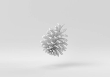 Beyaz arka planda yüzen beyaz çam kozalağı. Asgari konsept fikir yaratıcı. Tek renk olsun. 3 Boyutlu Hazırlama.