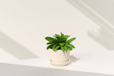 Beyaz arka planda ağaç tepsisi. Asgari konsept fikir yaratıcı. 3 Boyutlu Hazırlama.