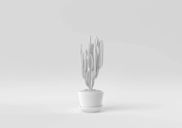 White Tree Pot White Background Minimal Concept Idea Creative Monochrome Royalty Free Stock Photos