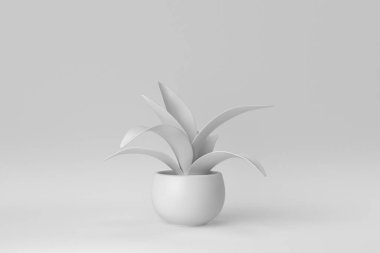 Beyaz arka planda bir tencerede küçük bir bitki. Minimum konsept. 3 Boyutlu Hazırlama.