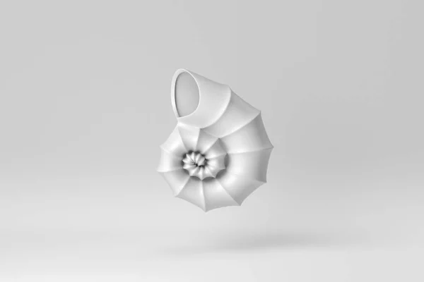 Coquille Marine Coquille Nautilus Sur Fond Blanc Papier Concept Minimal — Photo