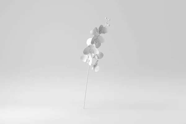 Orchidej Větev Bílém Pozadí Papírový Minimální Koncept Vykreslení — Stock fotografie