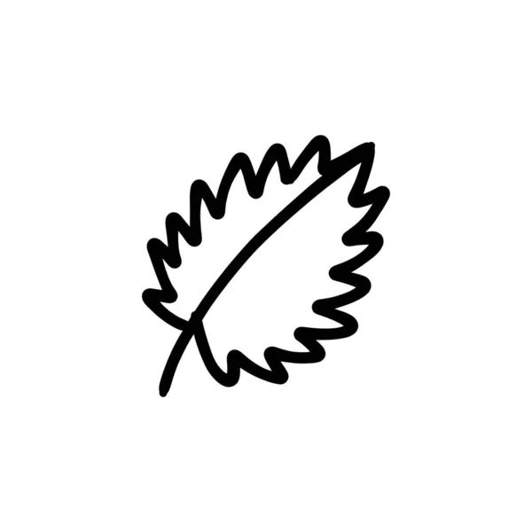 Huş Ağacı Vektör Olarak Simge Bırakır Logotype Doodle — Stok Vektör