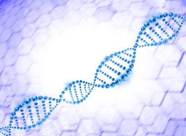 DNA sarmalının moleküler arka plan