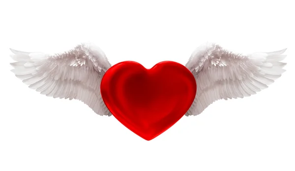 Fly to love — Stock Photo, Image