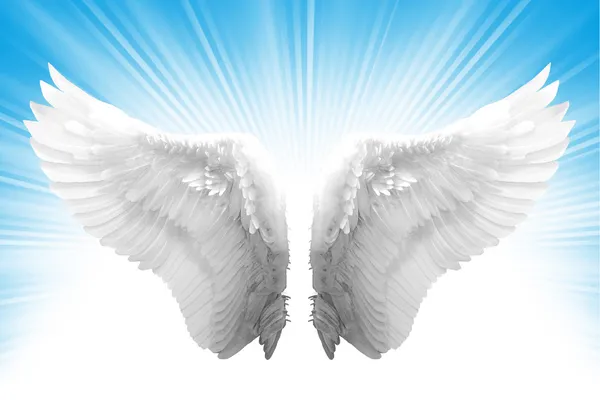 Angel wing — Stock Photo, Image