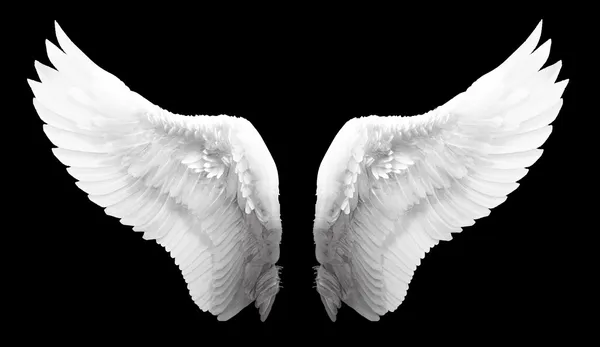Angel wing Royalty Free Stock Photos