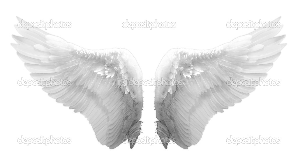 Angel wing