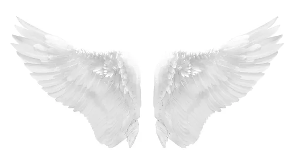 White angel wing — Stock Photo, Image