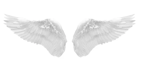 White angel wing — Stock Photo, Image