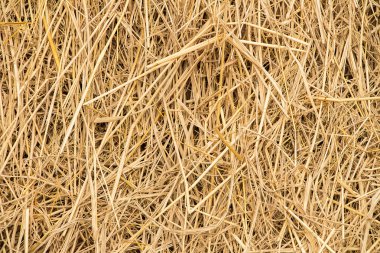 saman doku arka plan