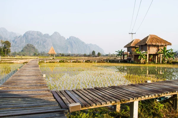 Ośrodek vang vieng, laos — Zdjęcie stockowe