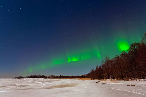 Aurora borealis açık bir kış gecesinde yeşil-mor