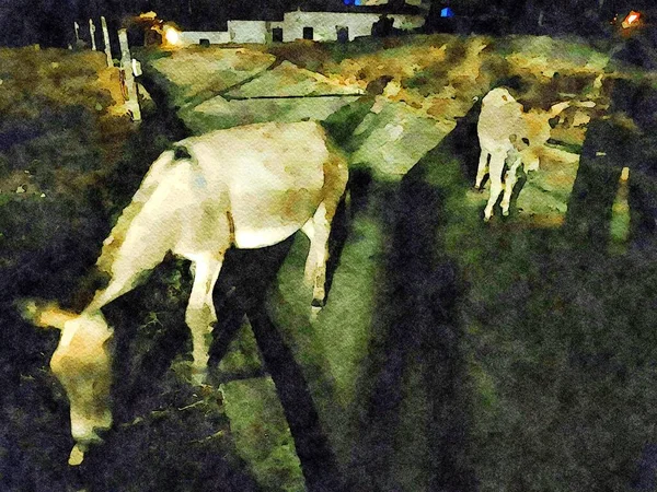 Akvarel malba dvou oslů kráčejících tiše ve vesnici. — Stock fotografie