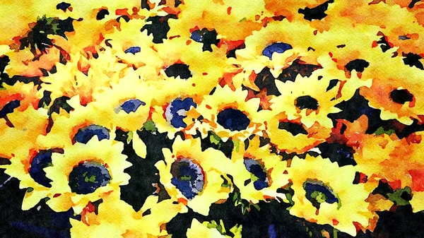 夏日向日葵的水彩画 — 图库照片