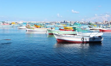 balıkçı tekneleri