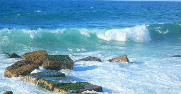 O litoral — Fotografia de Stock