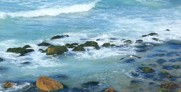 Берег моря — стоковое фото
