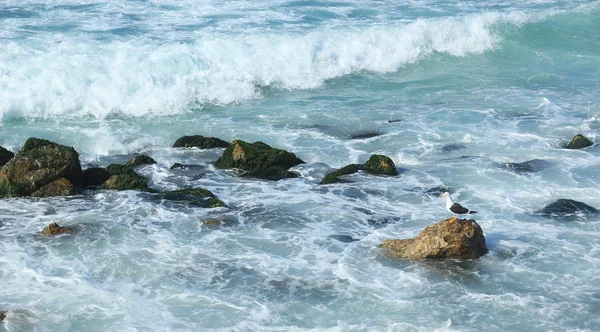 La riva del mare — Foto Stock