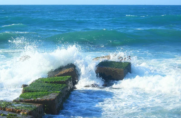 La orilla del mar — Foto de Stock