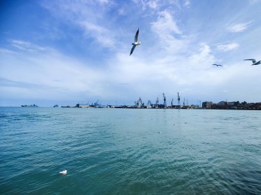 Okyanus ve mavi gökyüzü arka plan ile deniz yanında Balık tutma ve uçan martılar
