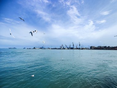 Okyanus ve mavi gökyüzü arka plan ile deniz yanında Balık tutma ve uçan martılar