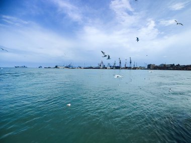 Okyanus ve mavi gökyüzü arka plan ile deniz yanında Balık tutma ve uçan martılar