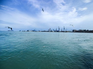 Okyanus ve mavi gökyüzü arka plan ile deniz yanında Balık tutma ve uçan martılar