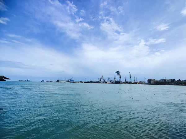 Meeuwen Vliegen Vissen Aan Zee Met Achtergrond Van Oceaan Blauwe — Stockfoto