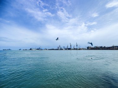 Okyanus ve mavi gökyüzü arka plan ile deniz yanında Balık tutma ve uçan martılar