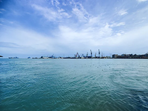 Meeuwen Vliegen Vissen Aan Zee Met Achtergrond Van Oceaan Blauwe — Stockfoto