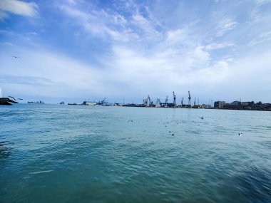 Okyanus ve mavi gökyüzü arka plan ile deniz yanında Balık tutma ve uçan martılar