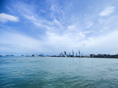 Okyanus ve mavi gökyüzü arka plan ile deniz yanında Balık tutma ve uçan martılar