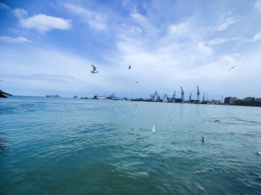 Okyanus ve mavi gökyüzü arka plan ile deniz yanında Balık tutma ve uçan martılar