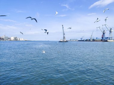 Okyanus ve mavi gökyüzü arka plan ile deniz yanında Balık tutma ve uçan martılar
