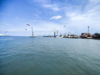 Okyanus ve mavi gökyüzü arka plan ile deniz yanında Balık tutma ve uçan martılar