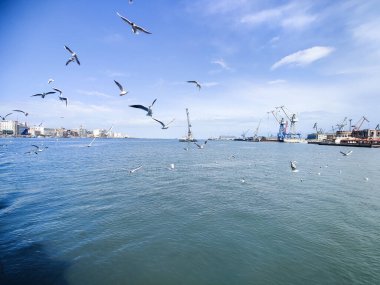 Okyanus ve mavi gökyüzü arka plan ile deniz yanında Balık tutma ve uçan martılar
