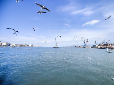 Okyanus ve mavi gökyüzü arka plan ile deniz yanında Balık tutma ve uçan martılar