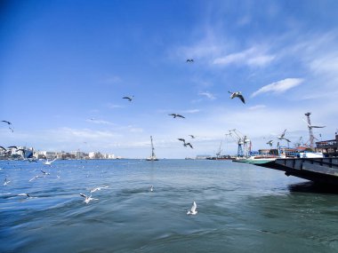 Okyanus ve mavi gökyüzü arka plan ile deniz yanında Balık tutma ve uçan martılar