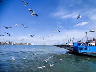 Okyanus ve mavi gökyüzü arka plan ile deniz yanında Balık tutma ve uçan martılar