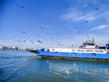 Okyanus ve mavi gökyüzü arka plan ile deniz yanında Balık tutma ve uçan martılar