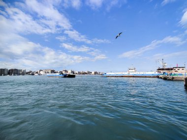 Okyanus ve mavi gökyüzü arka plan ile deniz yanında Balık tutma ve uçan martılar
