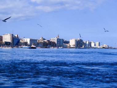 Okyanus ve mavi gökyüzü arka plan ile deniz yanında Balık tutma ve uçan martılar