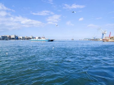 Okyanus ve mavi gökyüzü arka plan ile deniz yanında Balık tutma ve uçan martılar