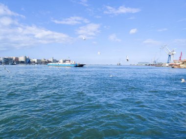 Okyanus ve mavi gökyüzü arka plan ile deniz yanında Balık tutma ve uçan martılar